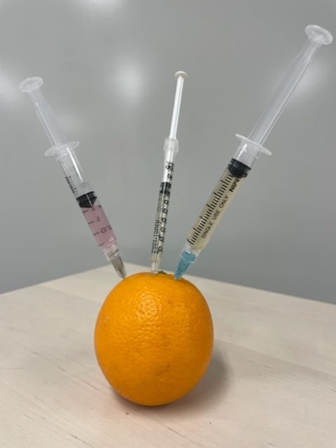 image of needles inserted into an orange