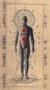 Image depicting meridians of body