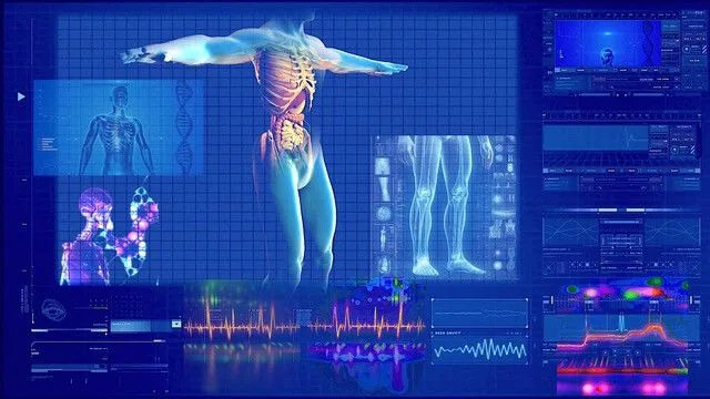 illustration of human digestive system